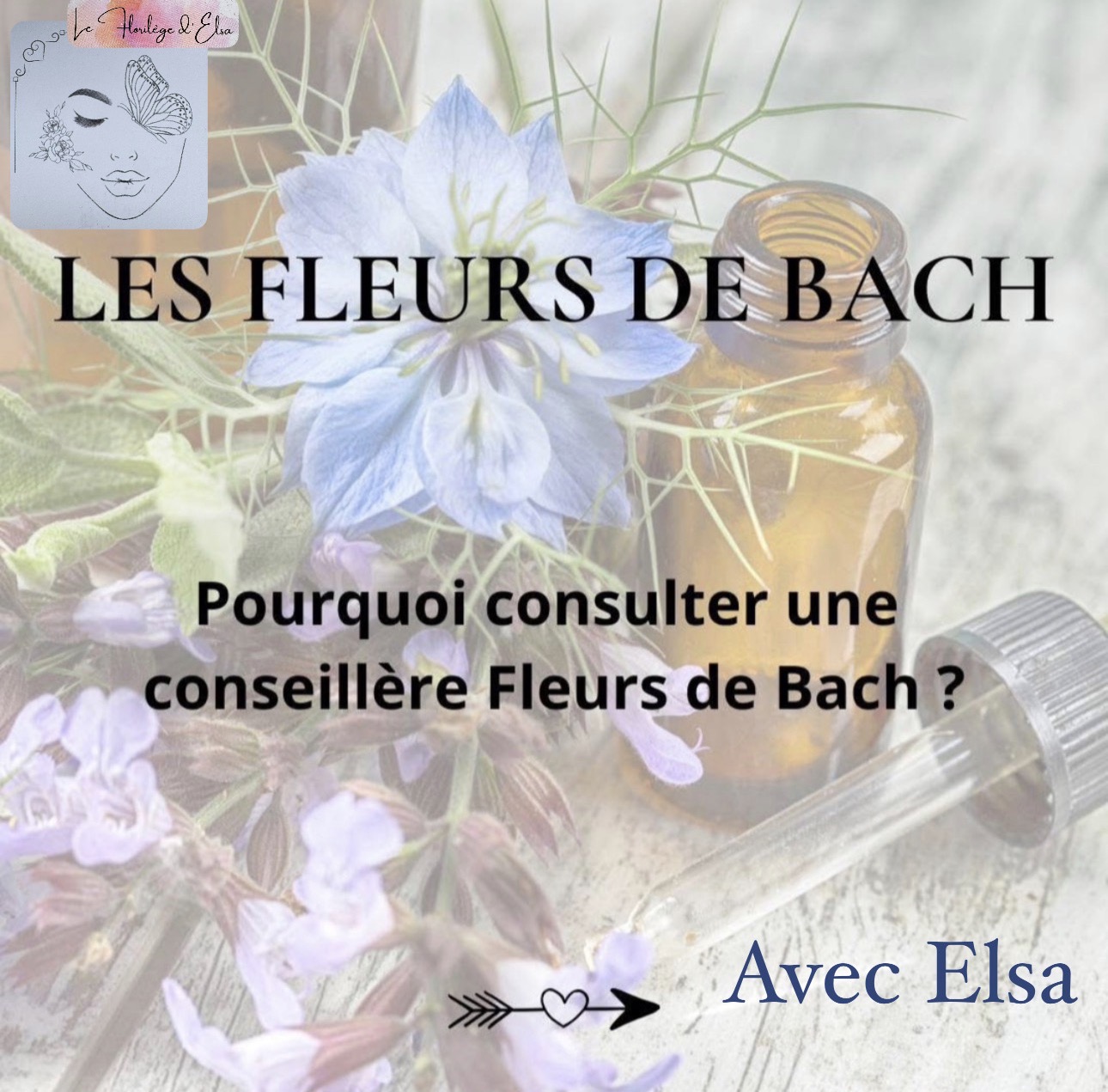 Rencontre autour des Fleurs de Bach – Samedi 11 Avril à 17h – Tu viens ? Envoie « Rencontre » par sms à Elsa 06 62 15 80 31